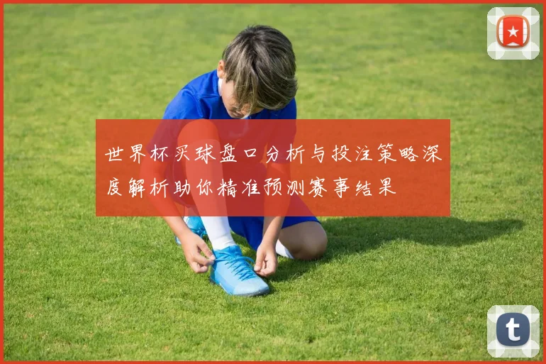 世界杯买球盘口分析与投注策略深度解析助你精准预测赛事结果