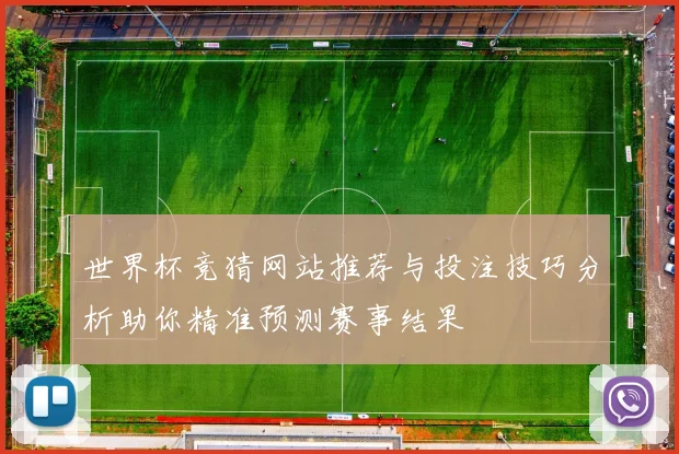 世界杯竞猜网站推荐与投注技巧分析助你精准预测赛事结果